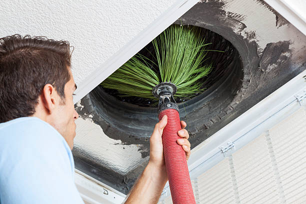 Best Dryer Vent Cleaning Services  in Fountain, CO